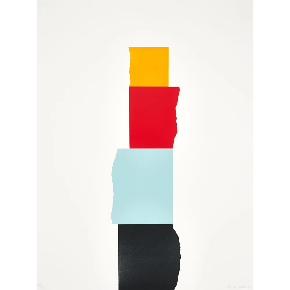Tate — David Batchelor “Chromoscreen 02”