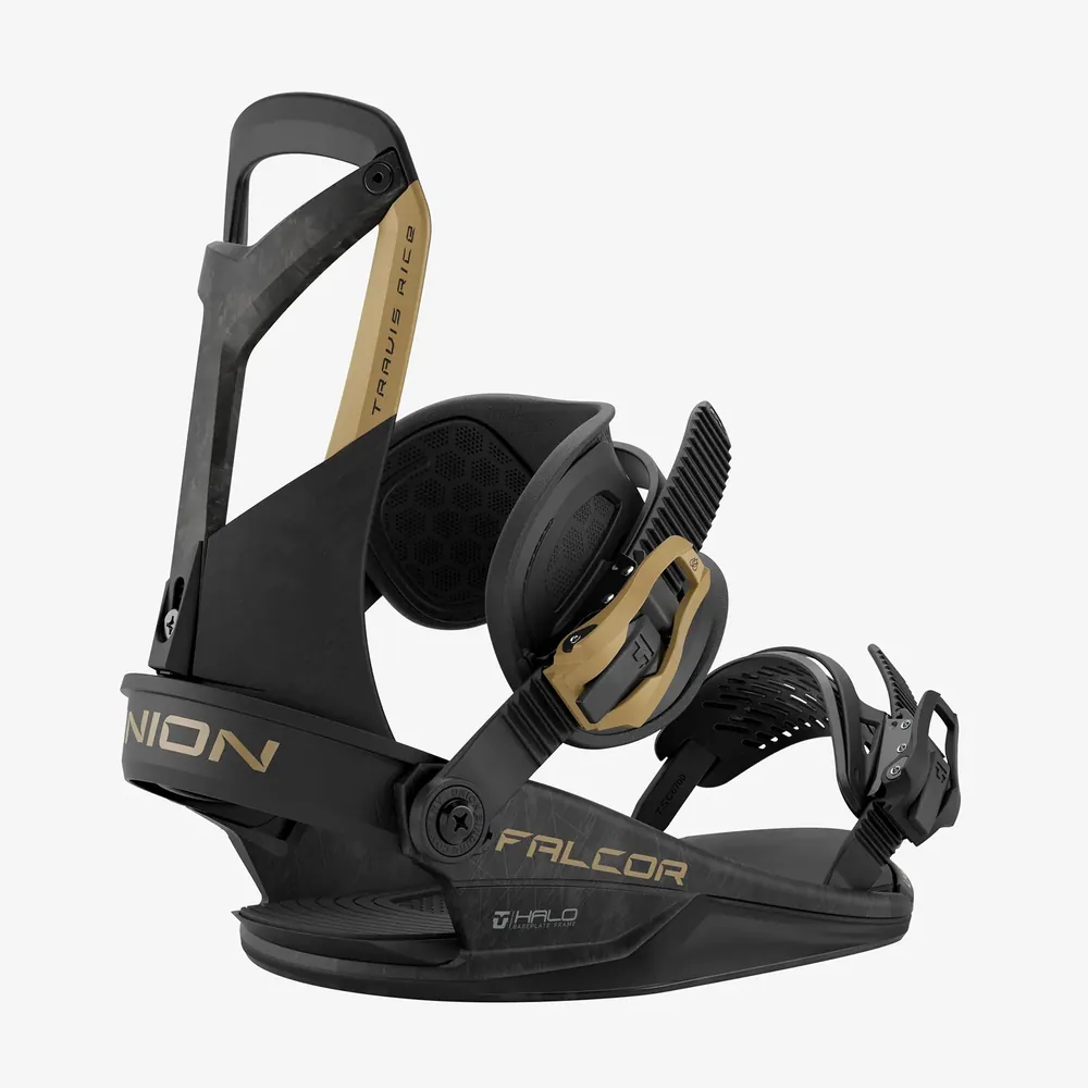 Union Falcor Bindings